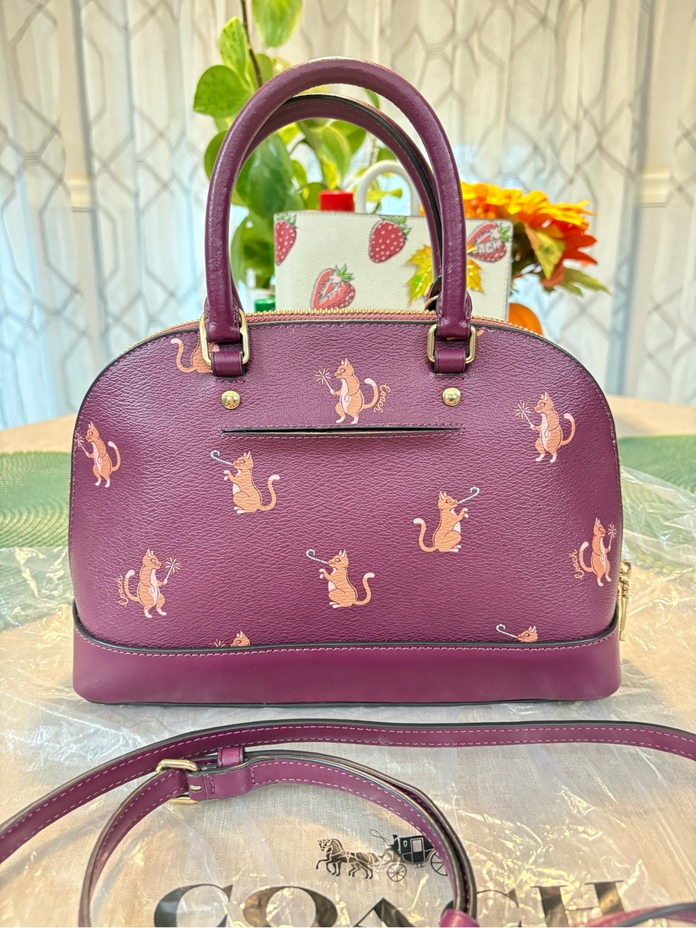 Coach Party Cat set - Picture 3 of 12